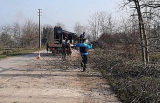 Başiskele’de ağaçlar budanıyor