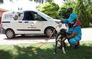 Başkan Çolakbayrakdar: “Küçük Dostlar Ambulansı,...