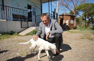 Başkan Ergin, “Satın alma sahiplen”