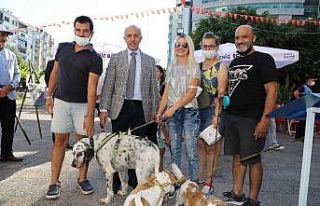 Başkan Gültak, hayvanseverlere mama ve yuva dağıttı