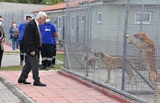 Başkan Gürün Geçici Hayvan Bakımevini ziyaret...