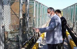 Başkan Hamit Kılıç: “240 can dostunu sahiplendirdik”