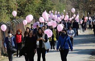 Başkent’te meme kanserine farkındalık için göl...