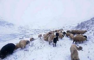 Bayburt’un yüksek kesimleri beyaza büründü