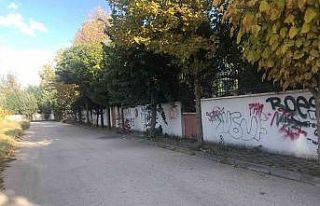 Bazı site duvarları ve elektrik trafoları karalama...