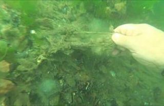 Bekar Deresi’nde buz dağının görünmeyen kısmı:...