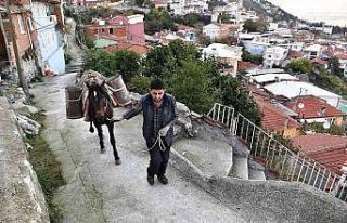 Belediye atla malzeme taşıyıp yol yapıyor