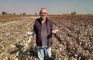 Beyaz altın pamuk üreticisinin yüzünü güldürecek