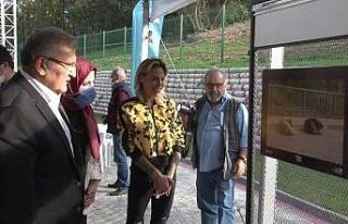 Beykoz’da Carolina Alurralde’den ’Dost’ sergisi