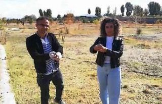 Bıldırcın erken uçunca görevli baka kaldı