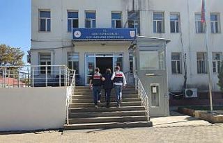 Bingöl’de 12 yıldır aranan şüpheli yakalandı