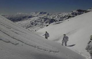Bingöl’de Eren Şenyayla-Sağgöze operasyonu başlatıldı
