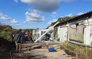 Binlerce tavuğu telef olmaktan itfaiye kurtardı