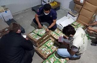 Bodrum’da 1 ton tarihi geçmiş gıda imha edildi