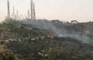 Bodrum’da makilik alanda yangın