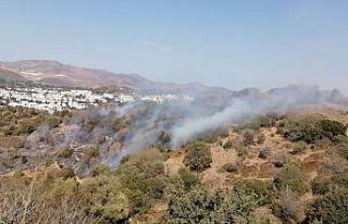 Bodrum’da makilik yangını