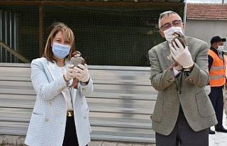 Bölgenin tek kınalı keklik üretim tesisi İnönü’de