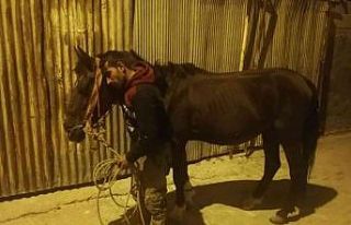 Böyle vicdansızlık görülmedi