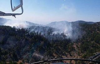 Bozyazı’daki yangında yaklaşık 10 dönüm ormanlık...