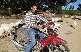 Bu da motosikletli çoban