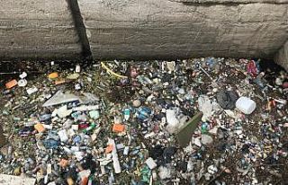 Bu duyarsızlıktan yetkililer de bıktı