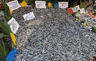 Bu sene balığa doyacağız, hamsi 15 liradan tezgâhları...