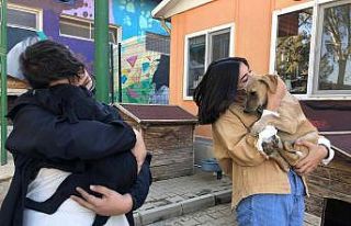 Buca Radikal Anadolu Lisesi öğrencilerinden hayvan...