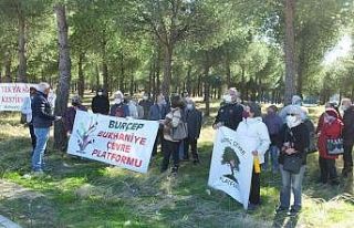 Burhaniye’de çamlığın imara açılmasına çevrecilerden...