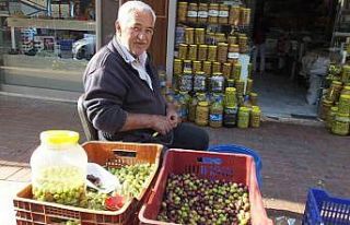 Burhaniye’de yeşil zeytin alımına başlandı,...