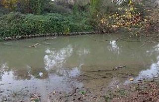 Bursa’da derede erkek cesedi bulundu