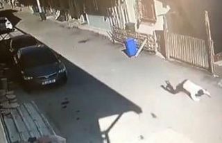 Bursa’da husumetlisini böyle vurdu