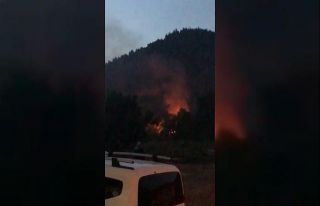 Bursa’da madde kullanırken ormanı ve barakayı...