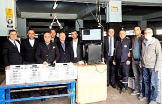 Bursa’da zeytin alımı başladı