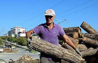 Büyük fabrikalar odunu ateşliyor