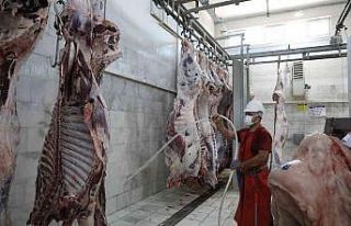 Büyükşehir mezbahalarına tam not