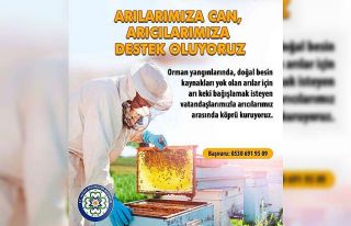 Büyükşehirden Arıcılara destek kampanyası