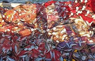 Çanakkale Boğazı’nda 15 bin lüfer yakaladılar