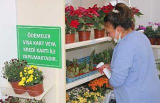 Çankaya’da bitki satış noktasına yoğun ilgi