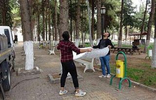 Çarşafla kedi kurtarma operasyonu