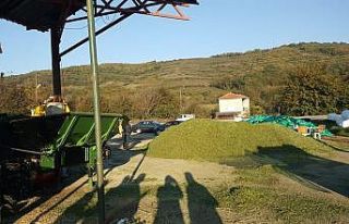 Çataklı, tarımsal işletmeleri inceledi