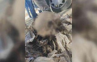 Cesetleri 9 yıl sonra toprak altında gömülü halde...