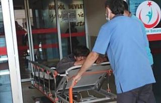 Ceviz ağacından çapa makinesinin üzerine düşen...