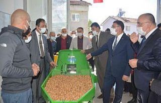 Ceviz fidanı sayısı 100 bine çıkacak, 35 milyon...