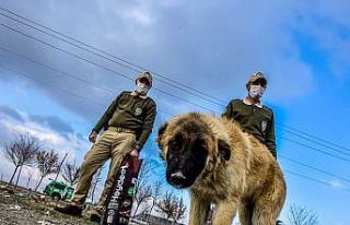 Çevre, Doğa ve Hayvanları Koruma Polisleri “dilsiz...