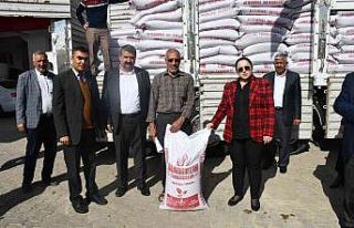 Çiftçilere mercimek tohumu dağıtıldı