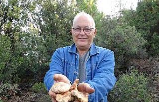 Çıntar avcıları iş başında