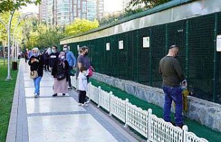 Çocukların vazgeçilmezi doğal yaşam parkı