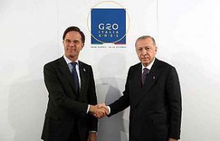 Cumhurbaşkanı Erdoğan, Hollanda Başbakanı Rutte...
