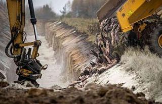 Danimarka’da "vizon itlafı" krizi: Başbakan...