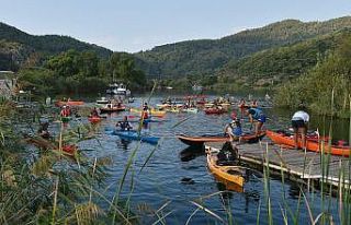 Deniz kaplumbağalarının “annesi” için şükran...